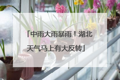 中雨大雨暴雨！湖北天气马上有大反转