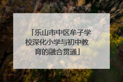 乐山市中区牟子学校深化小学与初中教育的融合贯通