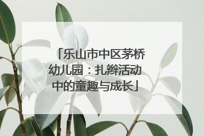 乐山市中区茅桥幼儿园：扎辫活动中的童趣与成长