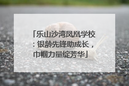 乐山沙湾凤凰学校：银龄先锋助成长，巾帼力量绽芳华