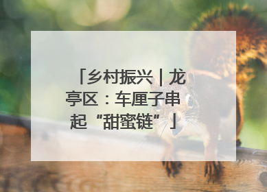 乡村振兴｜龙亭区：车厘子串起“甜蜜链”