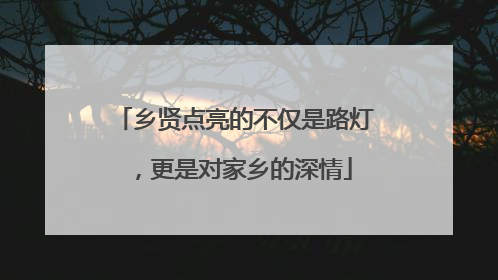 乡贤点亮的不仅是路灯，更是对家乡的深情