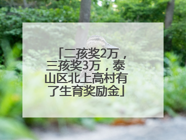 二孩奖2万，三孩奖3万，泰山区北上高村有了生育奖励金