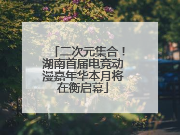 二次元集合！湖南首届电竞动漫嘉年华本月将在衡启幕