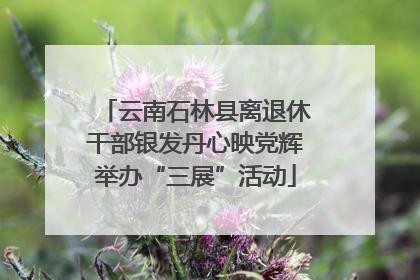 云南石林县离退休干部银发丹心映党辉举办“三展”活动
