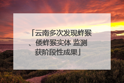 云南多次发现蜂猴、倭蜂猴实体 监测获阶段性成果