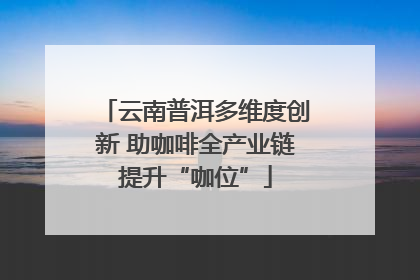 云南普洱多维度创新 助咖啡全产业链提升“咖位”