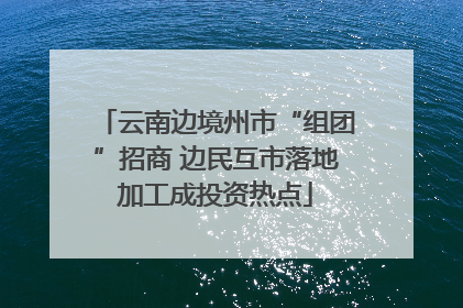 云南边境州市“组团”招商 边民互市落地加工成投资热点
