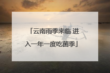 云南雨季来临 进入一年一度吃菌季