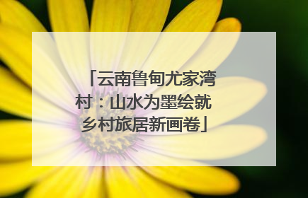 云南鲁甸尤家湾村：山水为墨绘就乡村旅居新画卷