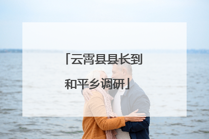 云霄县县长到和平乡调研