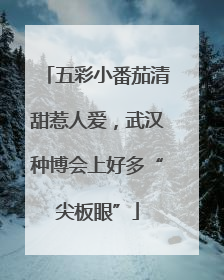 五彩小番茄清甜惹人爱，武汉种博会上好多“尖板眼”