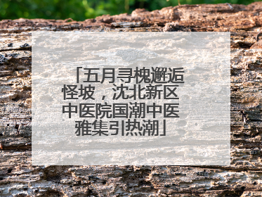 五月寻槐邂逅怪坡，沈北新区中医院国潮中医雅集引热潮