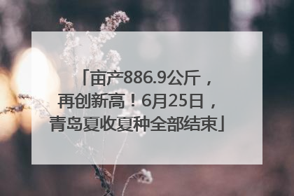 亩产886.9公斤，再创新高！6月25日，青岛夏收夏种全部结束