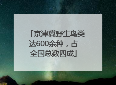 京津冀野生鸟类达600余种，占全国总数四成