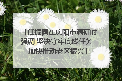 任振鹤在庆阳市调研时强调 坚决守牢底线任务 加快推动老区振兴