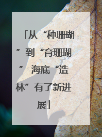 从“种珊瑚”到“育珊瑚” 海底“造林”有了新进展