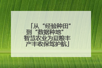 从“经验种田”到“数据种地” 智慧农业为夏粮丰产丰收保驾护航