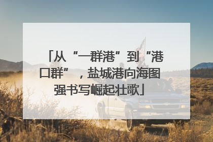 从“一群港”到“港口群”，盐城港向海图强书写崛起壮歌