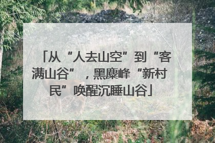 从“人去山空”到“客满山谷”，黑麋峰“新村民”唤醒沉睡山谷