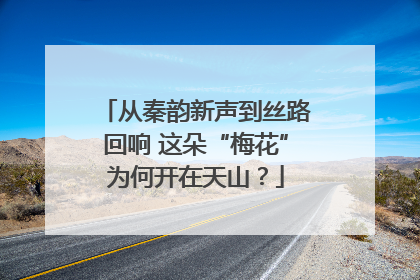 从秦韵新声到丝路回响 这朵“梅花”为何开在天山？