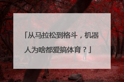 从马拉松到格斗，机器人为啥都爱搞体育？