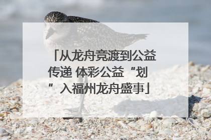 从龙舟竞渡到公益传递 体彩公益“划”入福州龙舟盛事