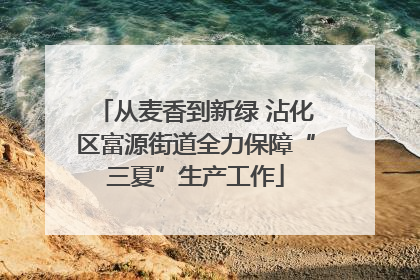 从麦香到新绿 沾化区富源街道全力保障“三夏”生产工作