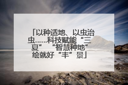 以种适地、以虫治虫……科技赋能“三夏” “智慧种地”绘就好“丰”景