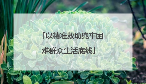 以精准救助兜牢困难群众生活底线