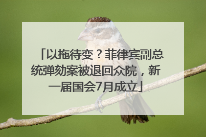以拖待变？菲律宾副总统弹劾案被退回众院，新一届国会7月成立