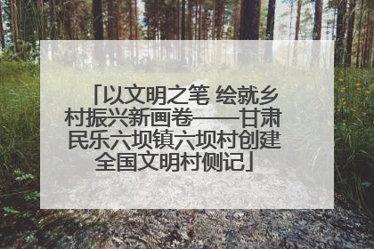 以文明之笔 绘就乡村振兴新画卷——甘肃民乐六坝镇六坝村创建全国文明村侧记