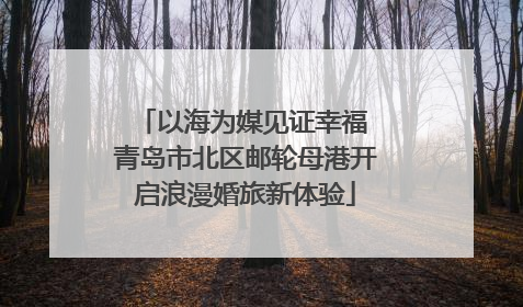 以海为媒见证幸福 青岛市北区邮轮母港开启浪漫婚旅新体验