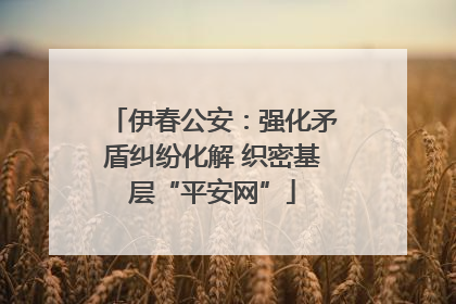 伊春公安：强化矛盾纠纷化解 织密基层“平安网”