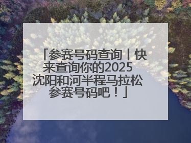 参赛号码查询丨快来查询你的2025沈阳和河半程马拉松参赛号码吧！
