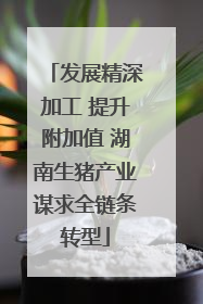 发展精深加工 提升附加值 湖南生猪产业谋求全链条转型