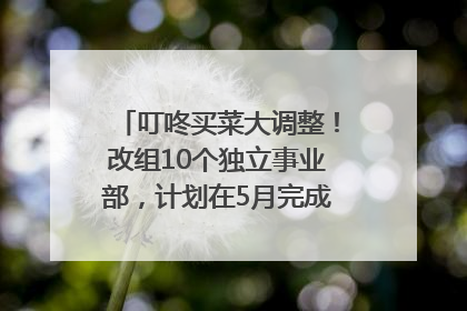 叮咚买菜大调整！改组10个独立事业部，计划在5月完成App端全面改版
