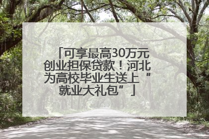 可享最高30万元创业担保贷款！河北为高校毕业生送上“就业大礼包”
