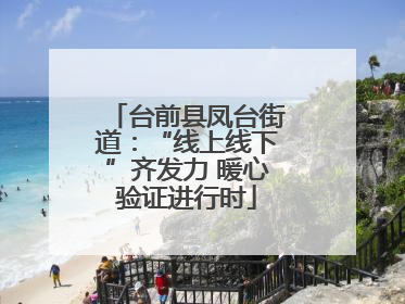 台前县凤台街道：“线上线下”齐发力 暖心验证进行时