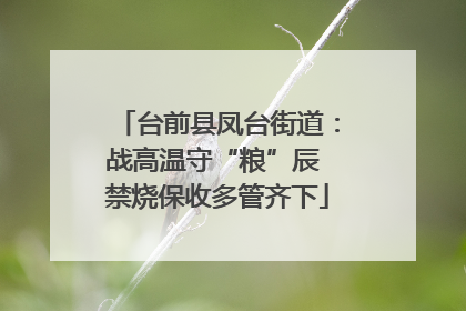 台前县凤台街道：战高温守“粮”辰 禁烧保收多管齐下