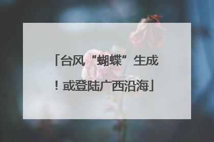 台风“蝴蝶”生成！或登陆广西沿海
