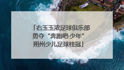 右玉玉浓足球俱乐部勇夺“奔跑吧·少年”朔州少儿足球桂冠