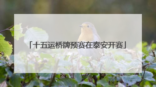 十五运桥牌预赛在泰安开赛