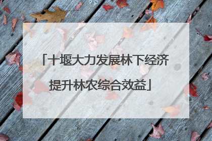 十堰大力发展林下经济 提升林农综合效益