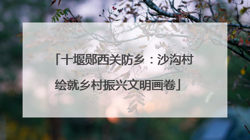 十堰郧西关防乡：沙沟村绘就乡村振兴文明画卷
