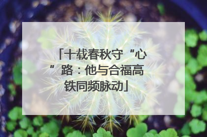 十载春秋守“心”路：他与合福高铁同频脉动