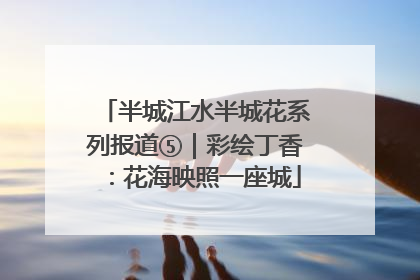 半城江水半城花系列报道⑤｜彩绘丁香：花海映照一座城