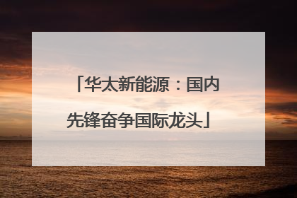 华太新能源：国内先锋奋争国际龙头