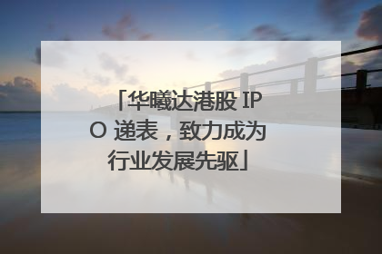 华曦达港股 IPO 递表，致力成为行业发展先驱