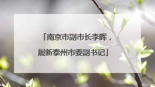 南京市副市长李晖，履新泰州市委副书记
